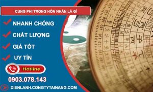 cung phi trong hôn nhân là gì