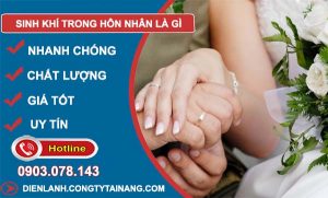 phân tích sinh khí trong hôn nhân là gì