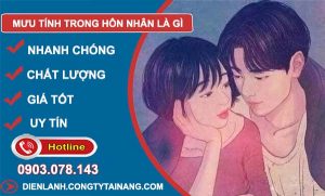 tìm hiểu mưu tính trong hôn nhân là gì