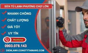 sửa tủ lạnh phường chợ lớn