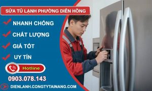 sửa tủ lạnh phường diên hồng giá rẻ
