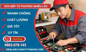 sửa bếp từ phường nhiêu lộc giá rẻ