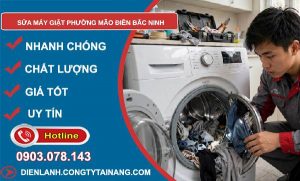 sửa máy giặt phường Mão Điền