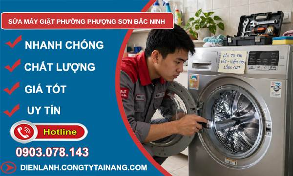 sửa máy giặt phường Phượng Sơn Bắc Ninh