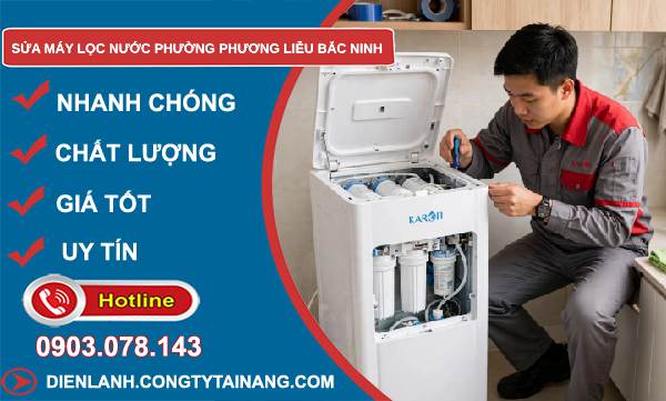 sửa máy lọc nước phường Phương Liễu Bắc Ninh