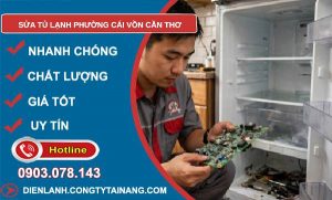 sửa tủ lạnh phường Cái Vồn