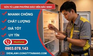 sửa tủ lạnh phường Đào Viên Bắc Ninh