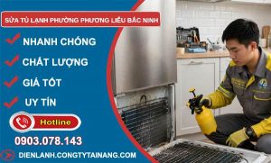 sửa tủ lạnh phường Phương Liễu