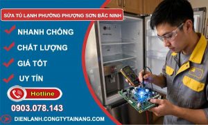 sửa tủ lạnh phường Phượng Sơn