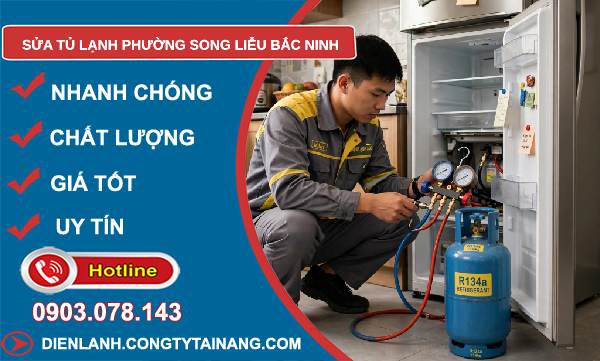 sửa tủ lạnh phường Song Liễu Bắc Ninh