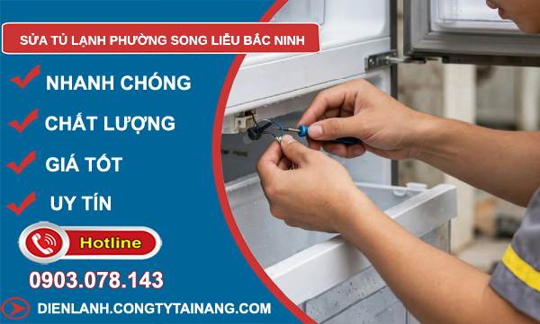sửa tủ lạnh phường Song Liễu
