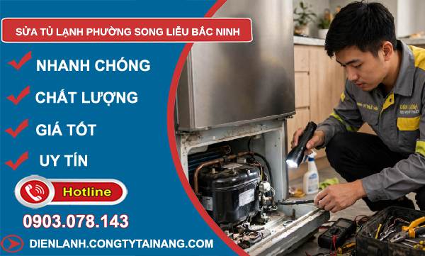 sửa tủ lạnh phường Song Liễu